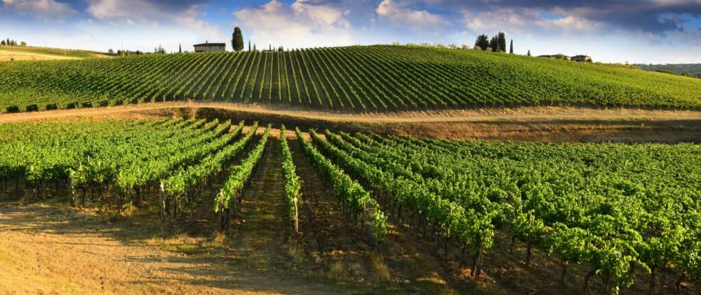 Chianti