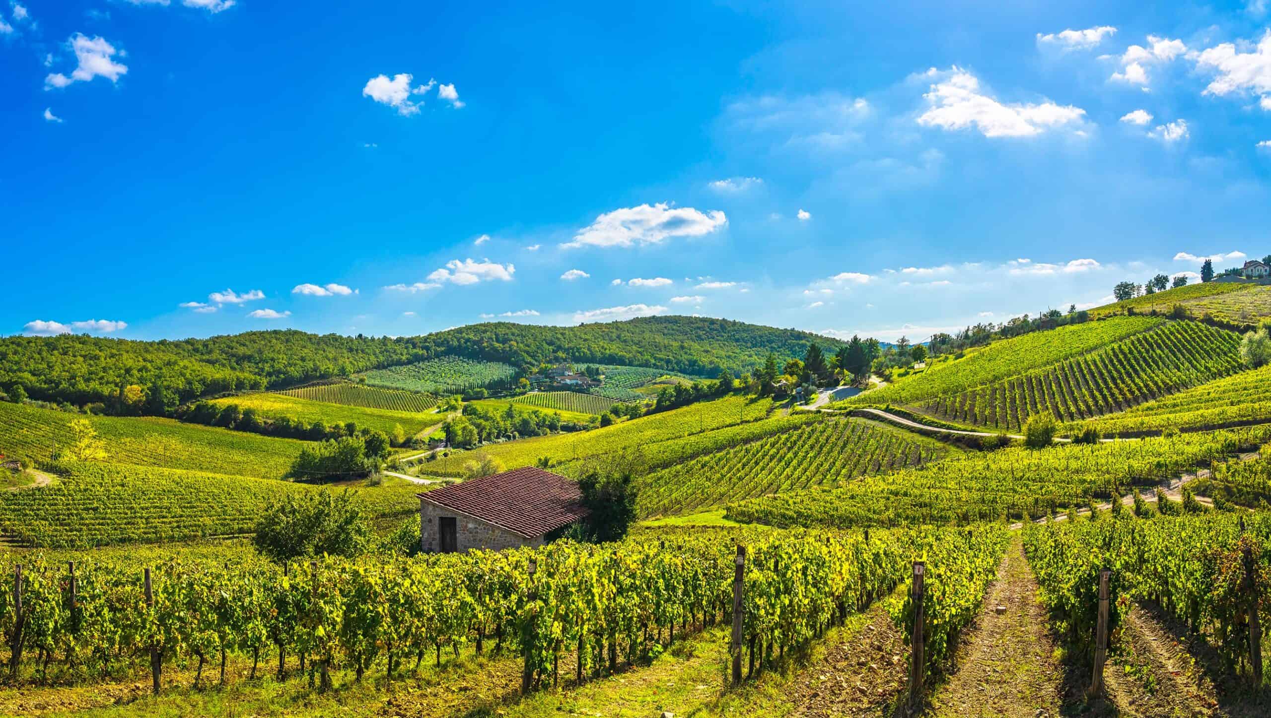 Chianti Riserva