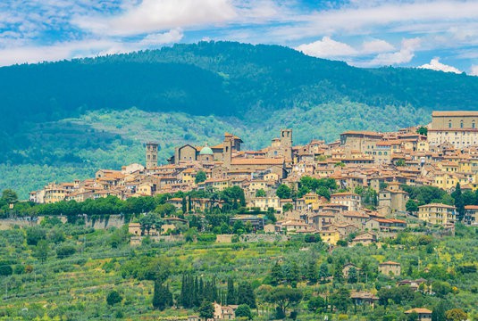 Cortona DOC