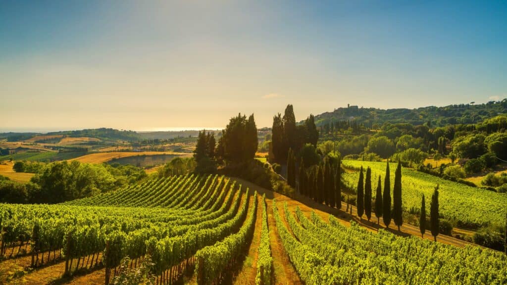IGT toscano