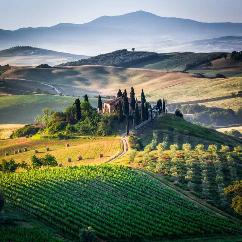 Caratteristiche rosso di Montalcino