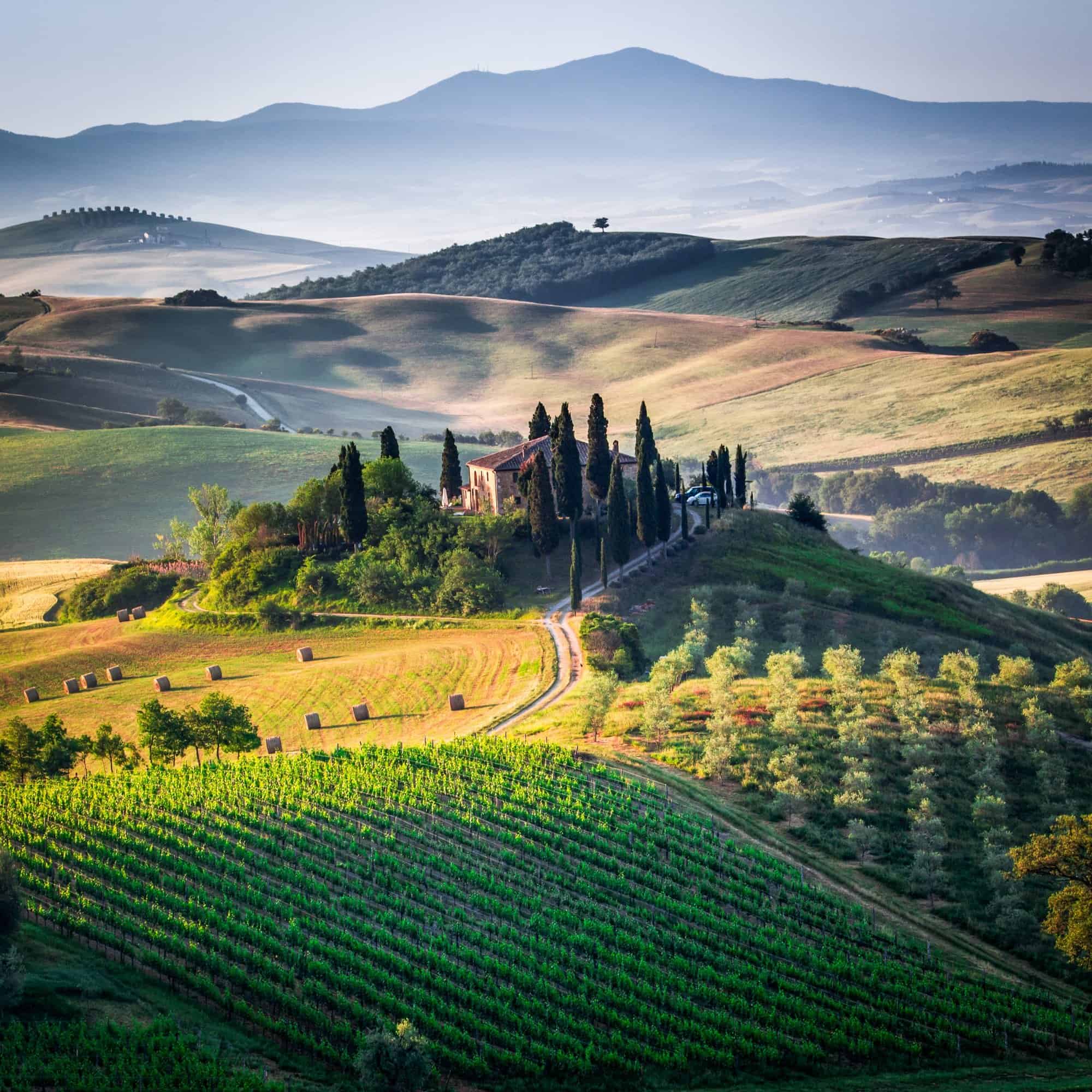 Caratteristiche rosso di Montalcino