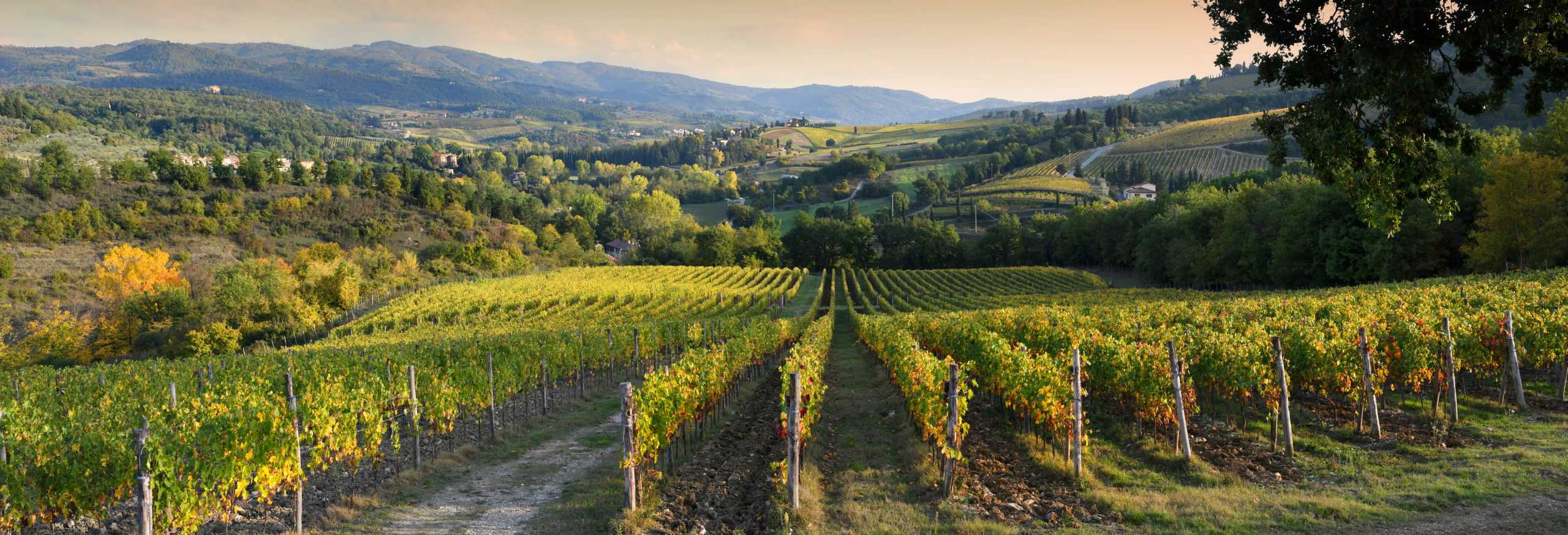 Storia dei Super Tuscan