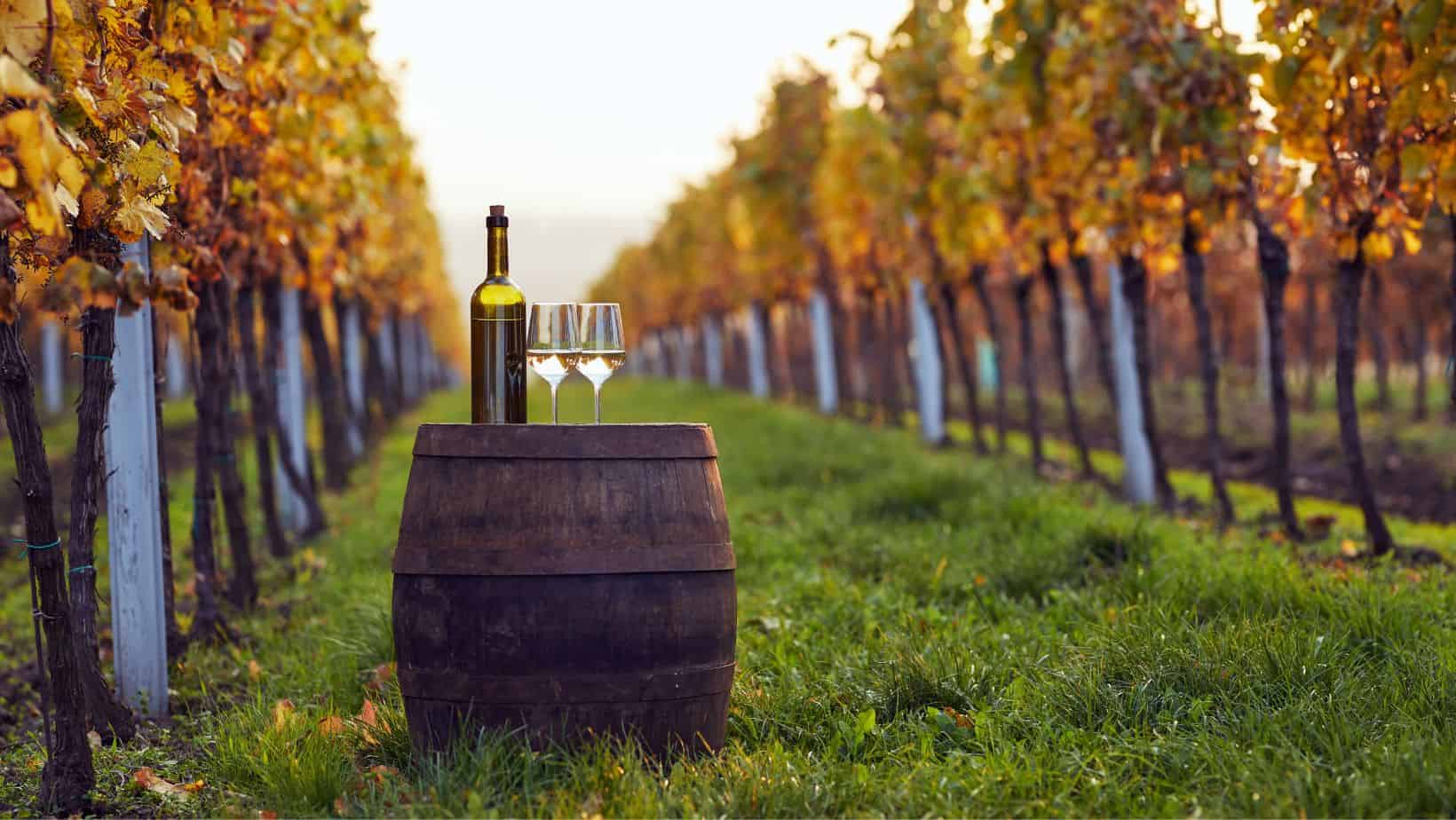 abbinamenti dei vini toscani