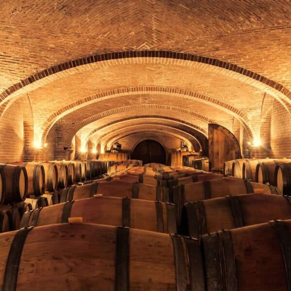 WINE EXPERT WINE CLUB